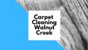 Carpet Cleaning WC logo